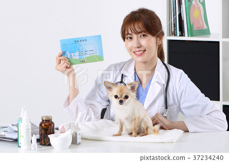 RF photo - Petconomy, a veterinarian and animals 279 37234240
