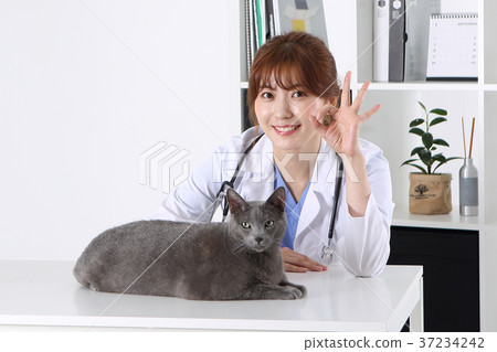 RF photo -  a veterinarian and animals195 37234242