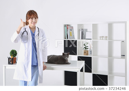 RF photo - a veterinarian and animals192 RF photo - a veterinarian and animals192 37234246