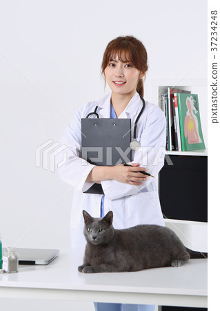 RF photo - Petconomy, a veterinarian and animals 245 37234248