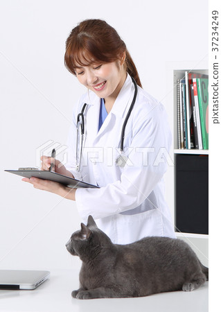 RF photo - Petconomy, a veterinarian and animals 239 RF photo - Petconomy, a veterinarian and animals 239 37234249