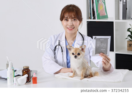 RF photo - Petconomy, a veterinarian and animals 283 RF photo - Petconomy, a veterinarian and animals 283 37234255