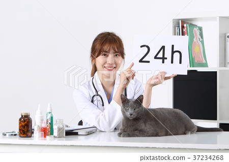 RF photo - Petconomy, a veterinarian and animals 261 37234268