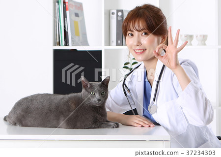 RF photo -  a veterinarian examine animal with a stethoscope190 37234303