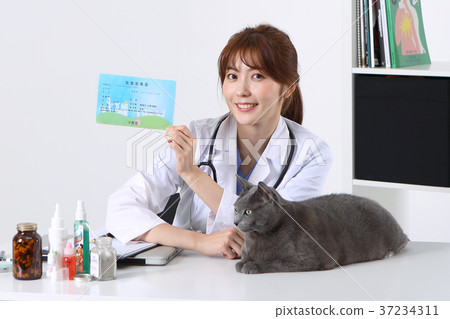 RF photo - Petconomy, a veterinarian and animals 257 37234311