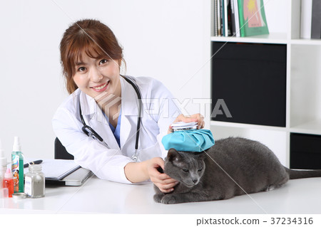 RF photo - Petconomy, a veterinarian and animals 252 37234316