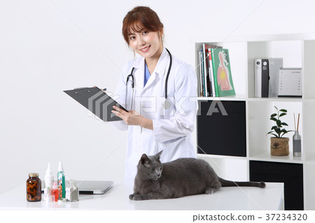RF photo - Petconomy, a veterinarian and animals 241 RF photo - Petconomy, a veterinarian and animals 241 37234320