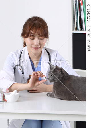 RF photo - Petconomy, a veterinarian and animals 267 37234340