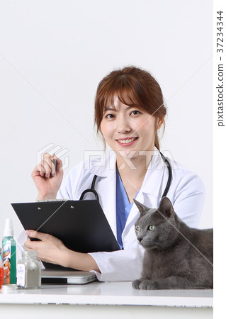 RF photo - Petconomy, a veterinarian and animals 247 RF photo - Petconomy, a veterinarian and animals 247 37234344