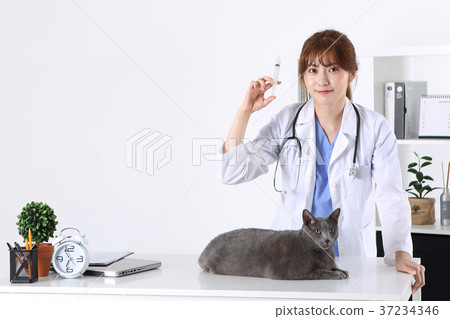 RF photo - a veterinarian and animals198 RF photo - a veterinarian and animals198 37234346