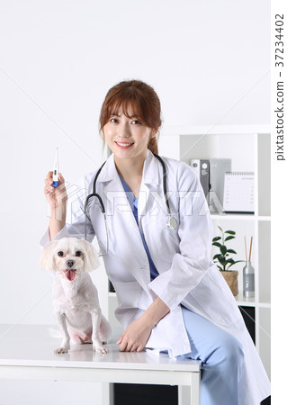 RF photo -  a veterinarian and animals204 37234402