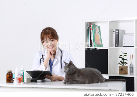 RF photo - Petconomy, a veterinarian and animals 250 37234406