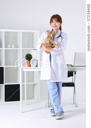 RF photo - a veterinarian is cures animals 155 RF photo - a veterinarian is cures animals 155 37234408