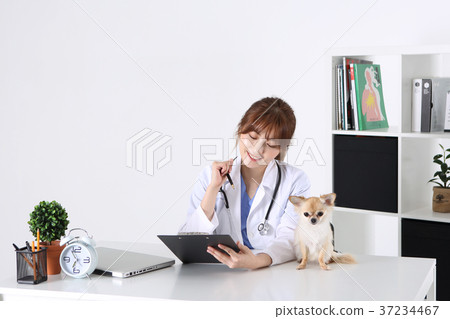 RF photo -  a veterinarian and animals208 37234467