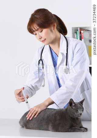 RF photo -  a veterinarian and animals200 37234469
