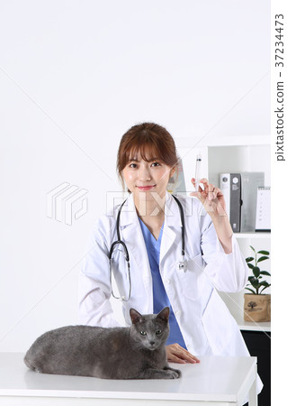 RF photo - a veterinarian and animals199 RF photo - a veterinarian and animals199 37234473