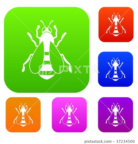 Bee set collection 37234500