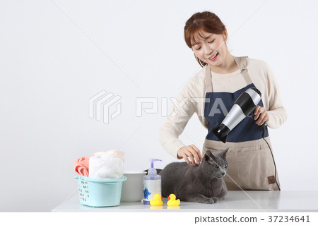 RF photo - Pet economy, Pet Beautician is caring a cat 053 37234641
