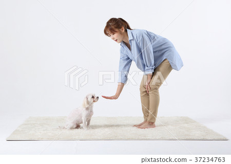 RF photo - woman and her's pet isolated shot in studio 004 37234763