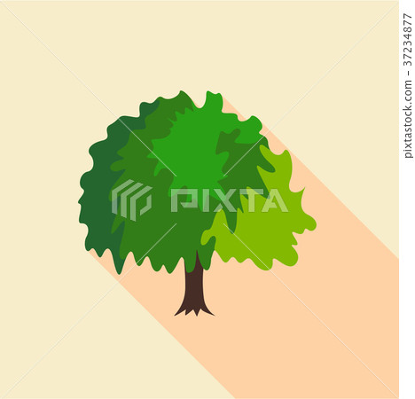 Fluffy tree icon, flat style Fluffy tree icon, flat style 37234877