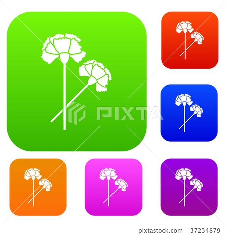 Carnation set collection Carnation set collection 37234879