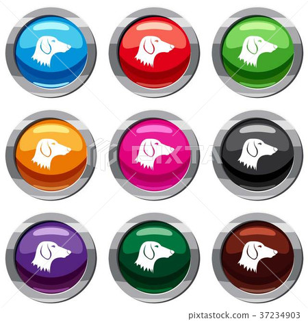 Dachshund dog set 9 collection Dachshund dog set 9 collection 37234903