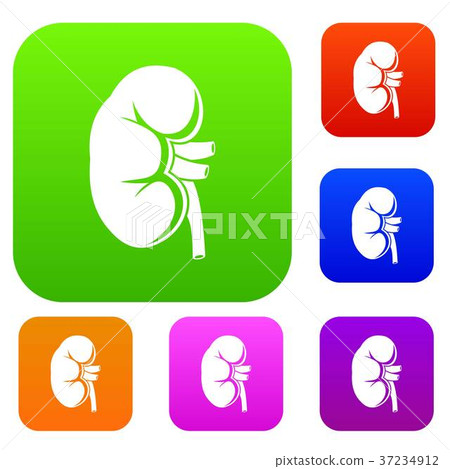 Kidney set collection Kidney set collection 37234912