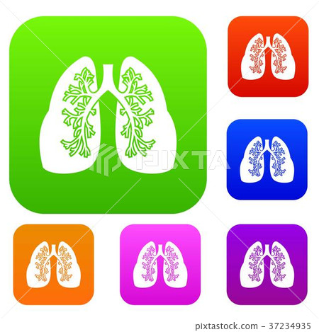 Lungs set collection Lungs set collection 37234935