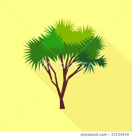 Needle palm tree icon, flat style Needle palm tree icon, flat style 37234939