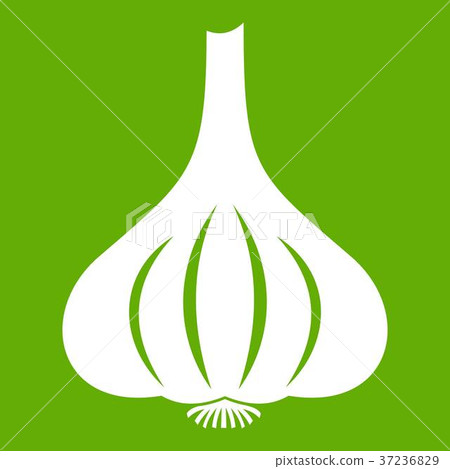 Garlic icon green 37236829