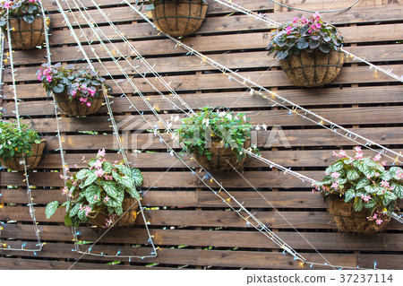 Floral decoration  37237114