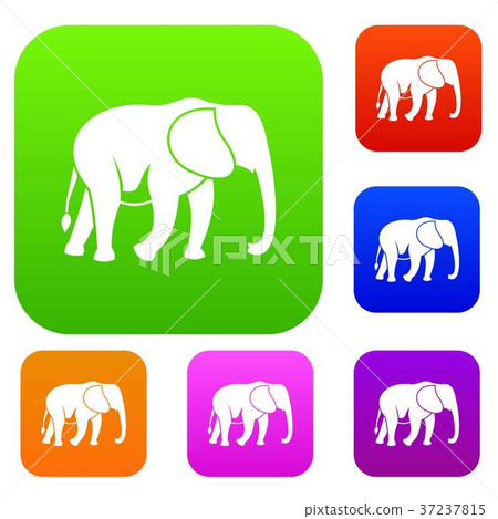 Wild elephant set collection Wild elephant set collection 37237815