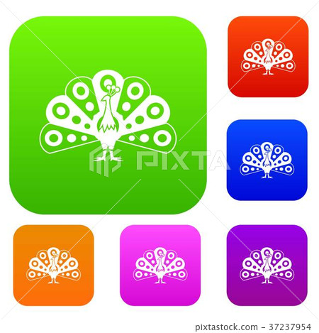 Peacock with flowing tail set collection 37237954