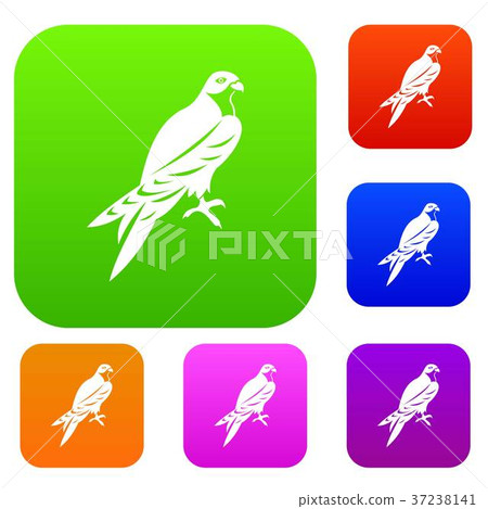 Falcon set collection 37238141