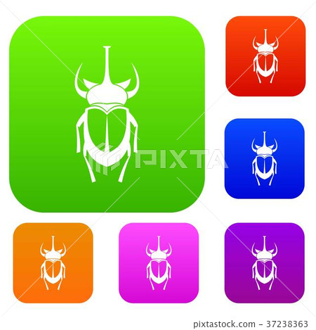 Weevil beetle set collection Weevil beetle set collection 37238363