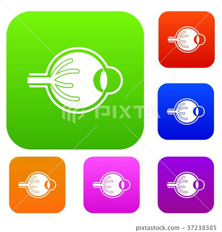 Human eyeball set collection 37238385