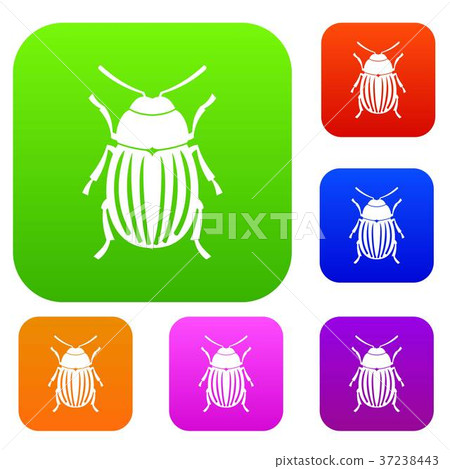 Colorado potato beetle set collection 37238443