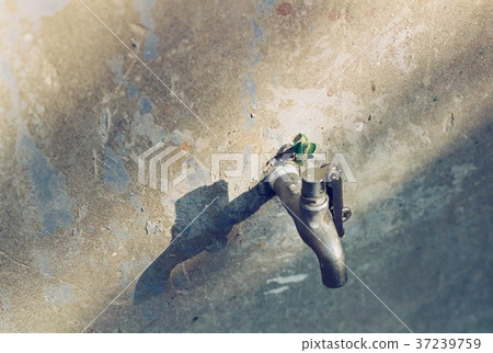 長在水龍頭上的小植物 長在水龍頭上的小植物 37239759