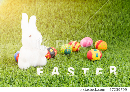Bunny toys and Easter eggs with text Bunny toys and Easter eggs with text 37239799