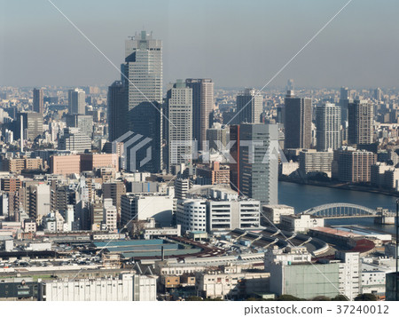 築地市場和隅川川 築地市場和隅川川 37240012