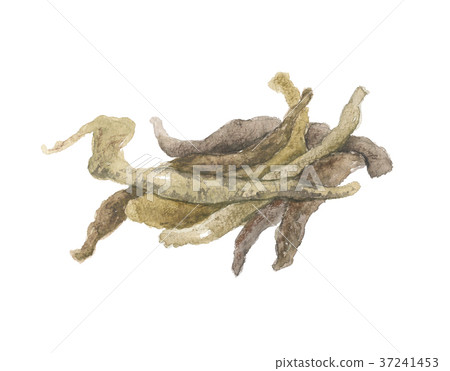 磨黃根 磨黃根 37241453