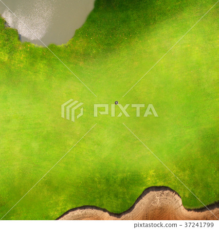 Golf course Golf course 37241799