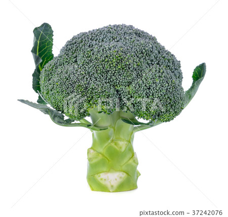 Broccoli isolated on white background 37242076