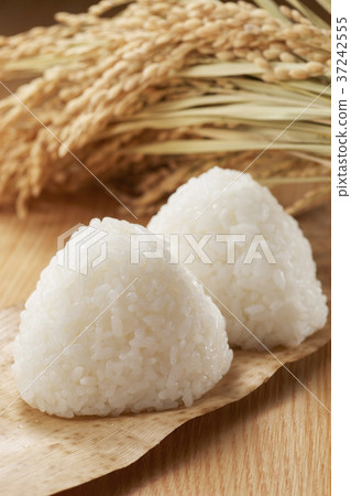 Rice ball and rice field 37242555