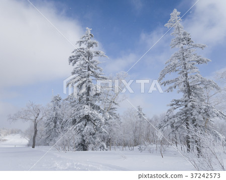 Rake ice in Hokkaido 37242573