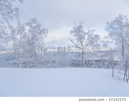 Snow mountain in Hokkaido Snow mountain in Hokkaido 37242575