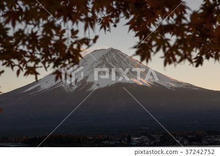Fuji autumnal leaves Kawaguchiko 37242752