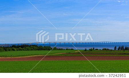 Prince Edward Island 37242951