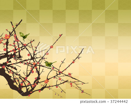 Ume no Ugui early spring 37244442