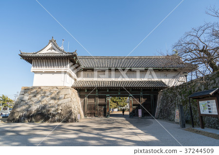 The ruins of Saga Castle 37244509